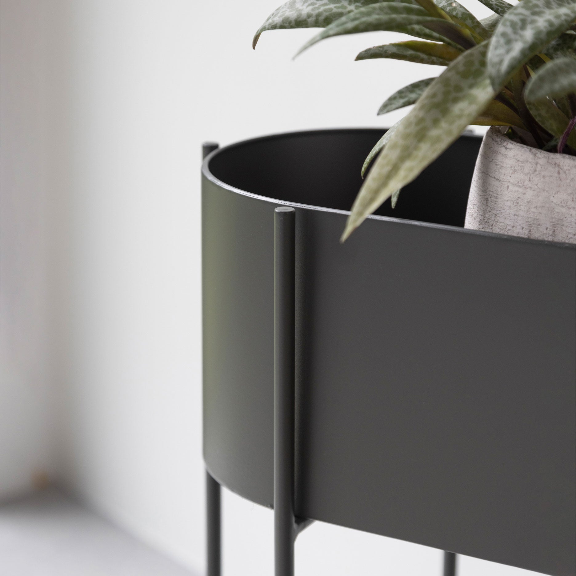 Viola Pflanzenbox Grau